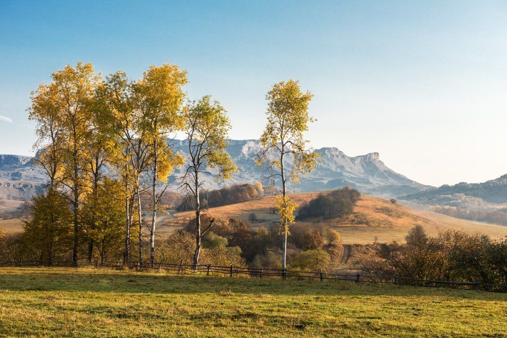 Золотая осень...
