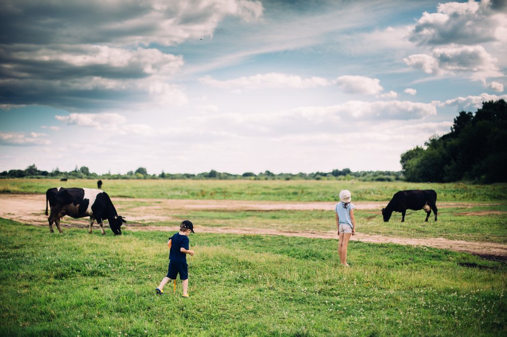 Жизнь в деревне