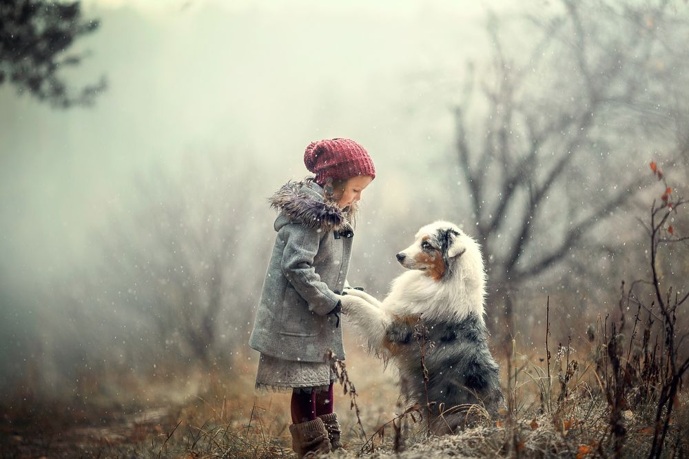 Привет мой друг!