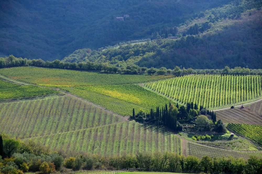 Фотография автора Андрей Симонов