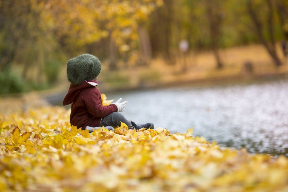 Волшебная осень