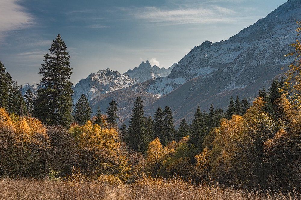 Алибекское ущелье