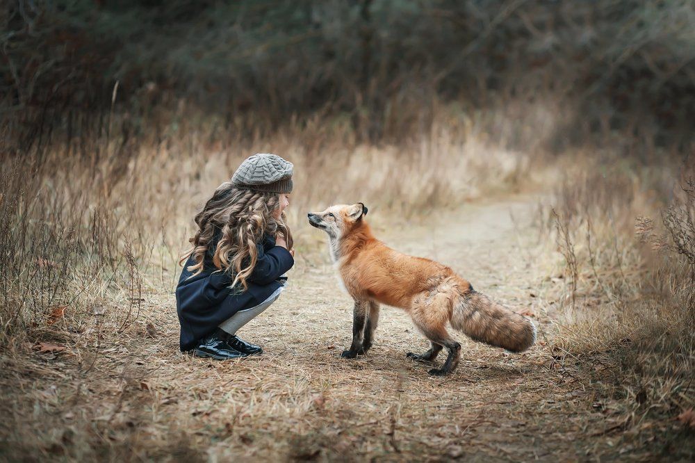 Лесная встреча