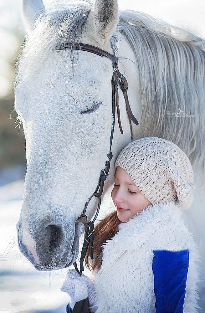 Зимняя прогулка