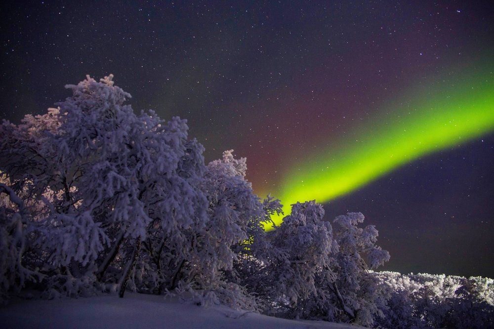 Северная сказка