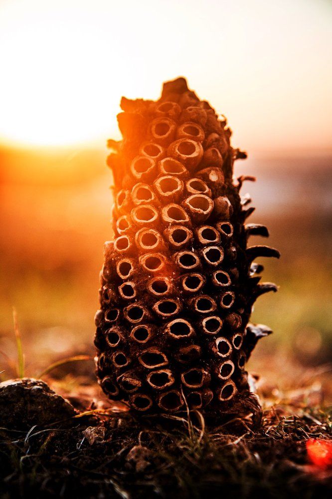 Photograph by Сигида Дмитрий