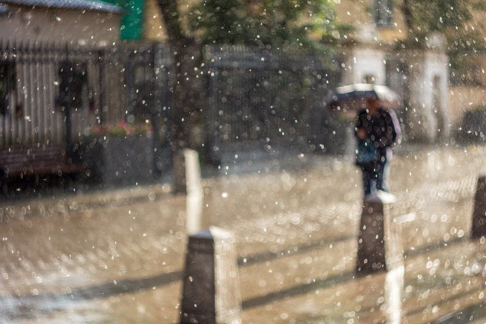 Photograph by Александр Комаров