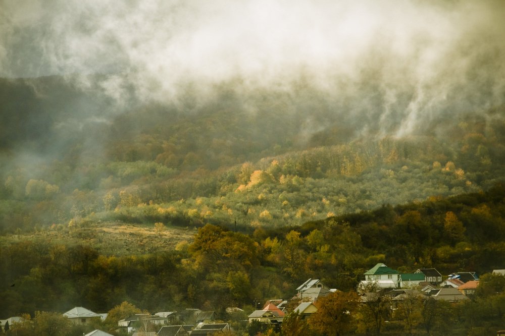 Сказочный лес