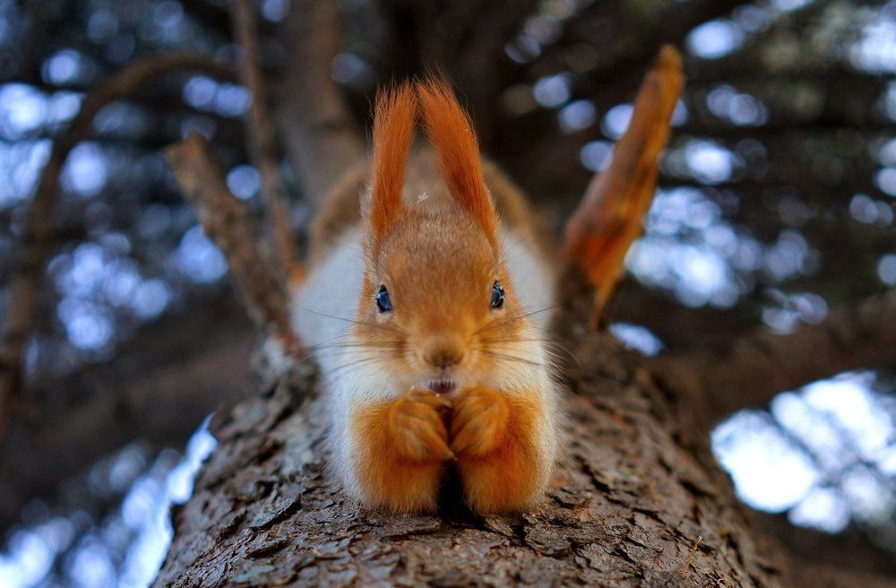 - поболтаем...