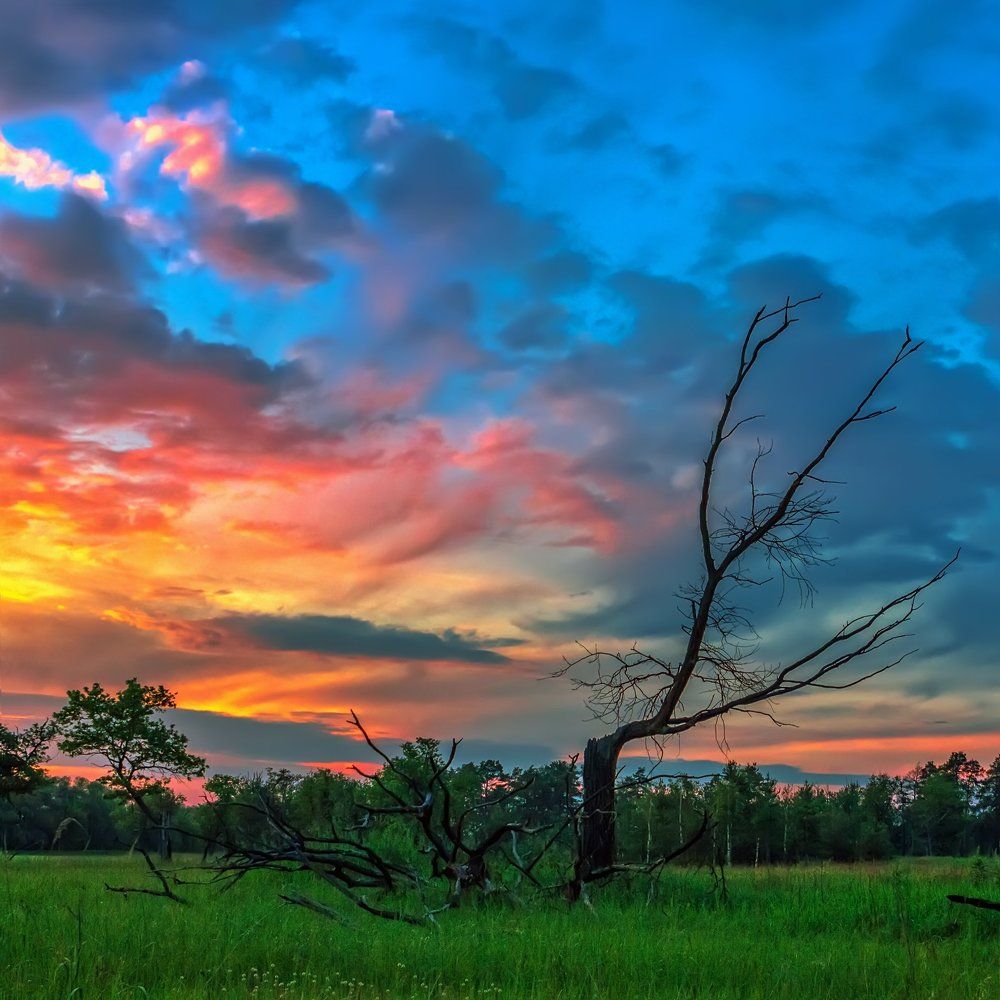 Разлом реальности