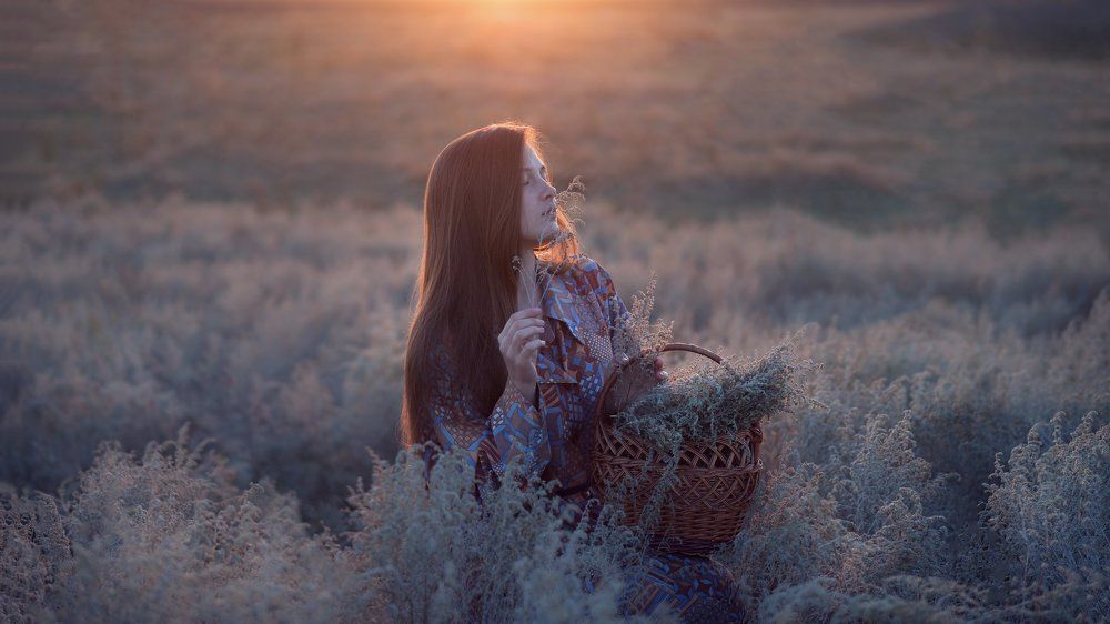 Сбор полыни