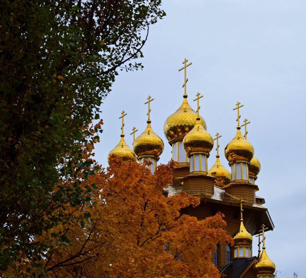 Осень наступила