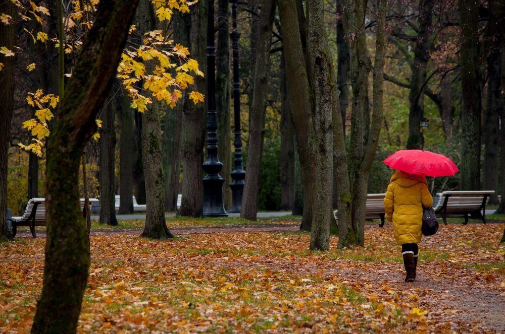 Яркие краски осени