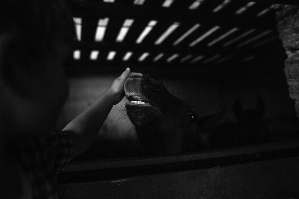 Photograph by Янчи Маша