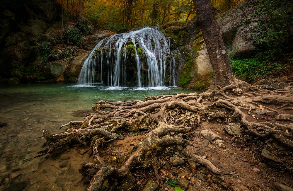 Корни водопада