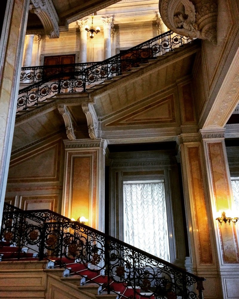 Photograph by Дарья