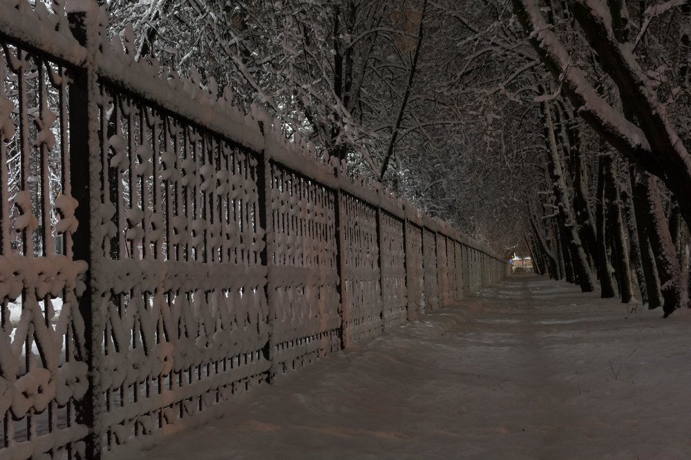 Зимний парк