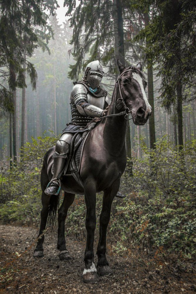 Рыцарь на коне