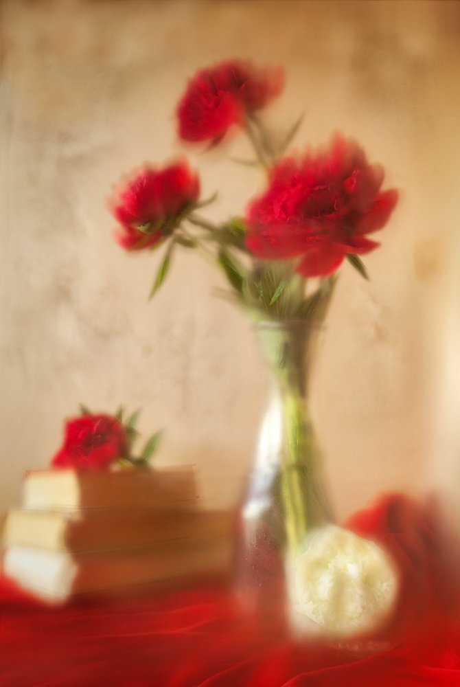 Сны о красном и прекрасном