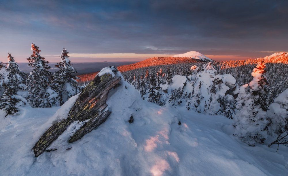 Круглица в вечернем свете