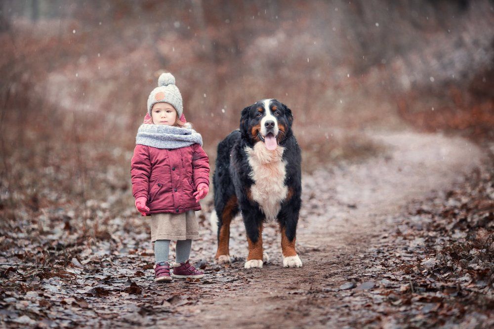 Photograph by Новицкая Татьяна