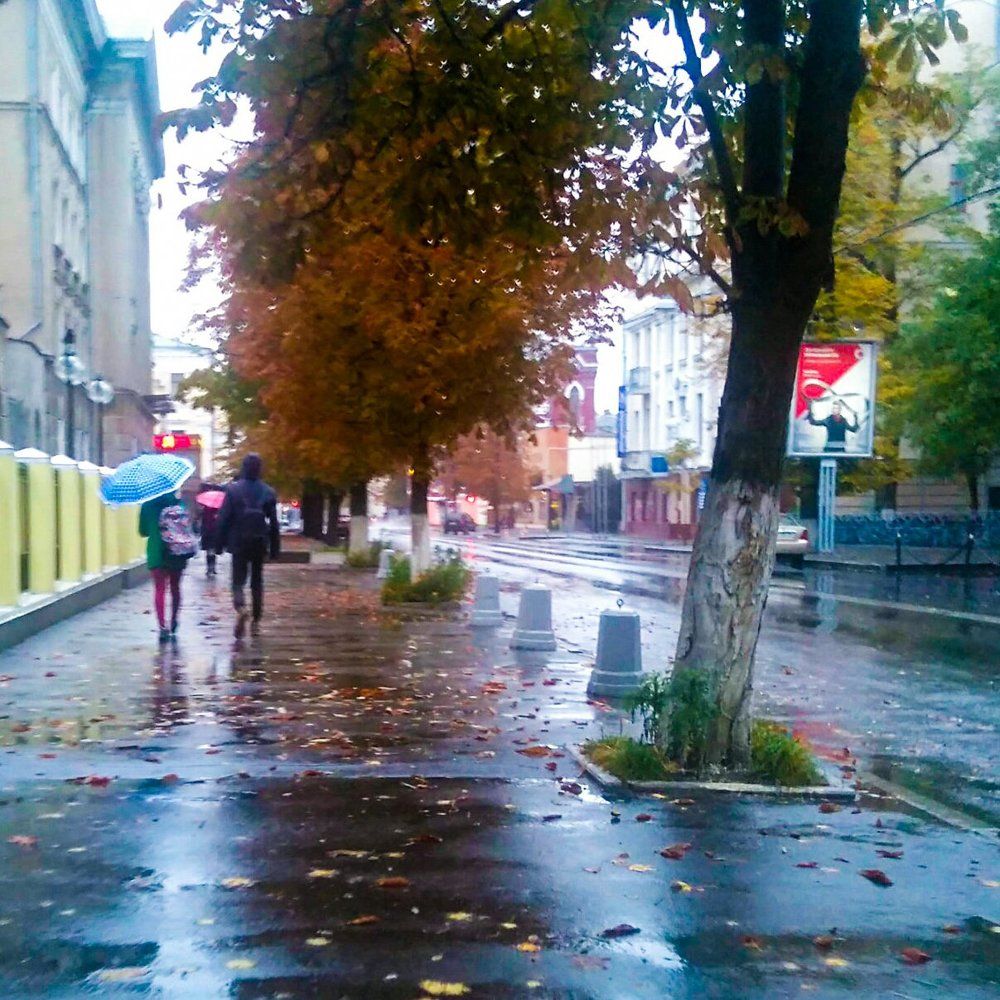 Грусная осень...