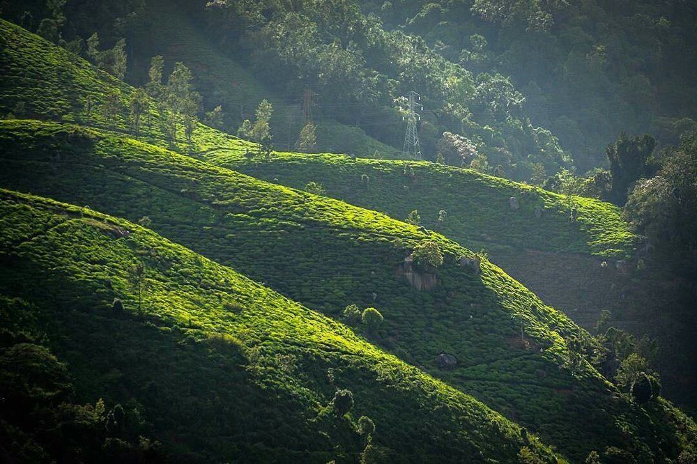 Ooty
