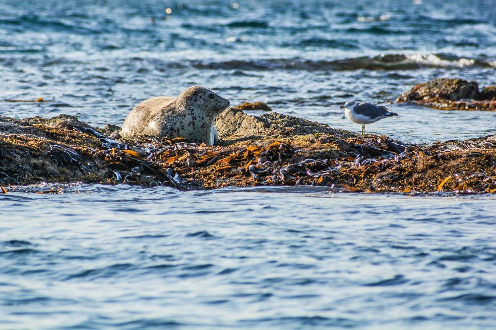 Душевная беседа