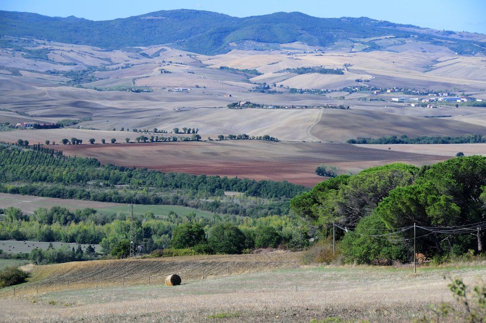 Фотография автора Андрей Симонов
