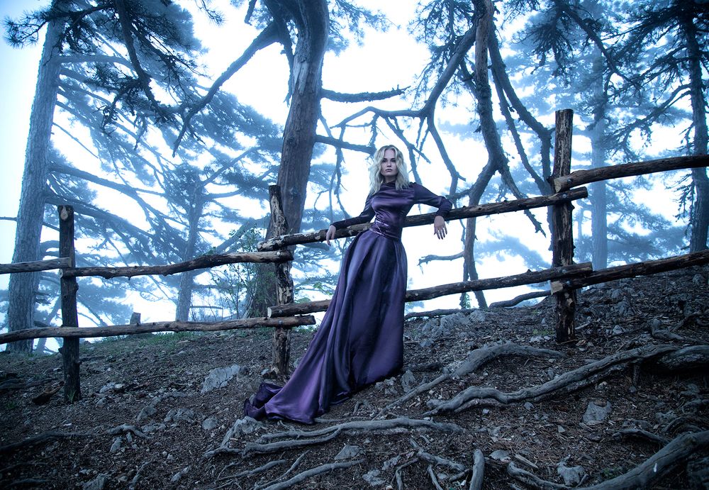 Холодные сумерки