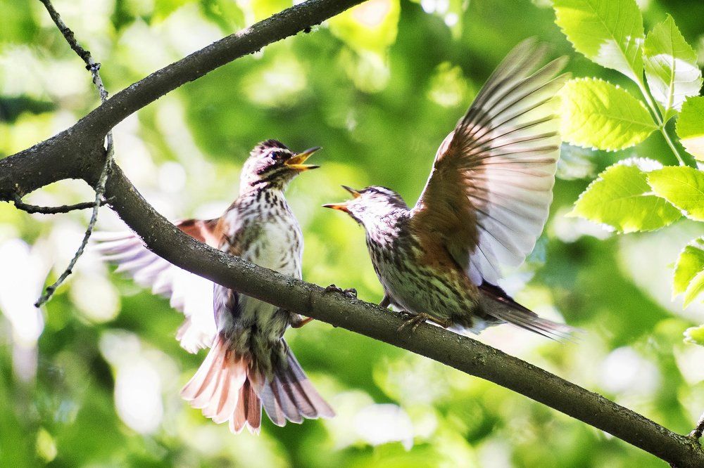 без названия