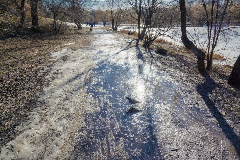 весна, весна на улице...