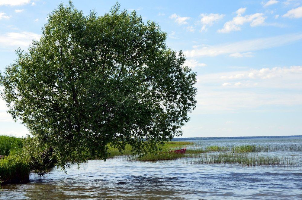 Русское раздолье...