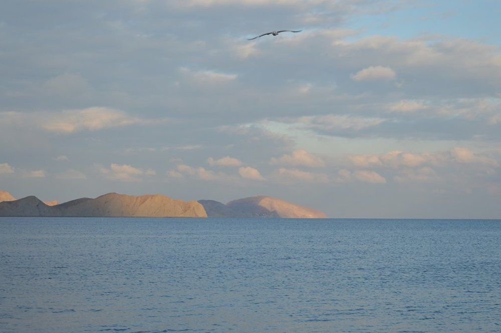 Россия. Крым. Коктебель. Мыс Хамелеон