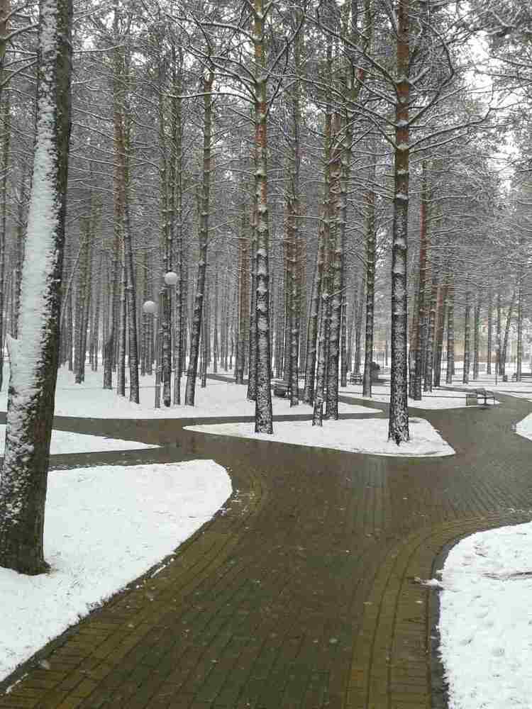 Пришла зима