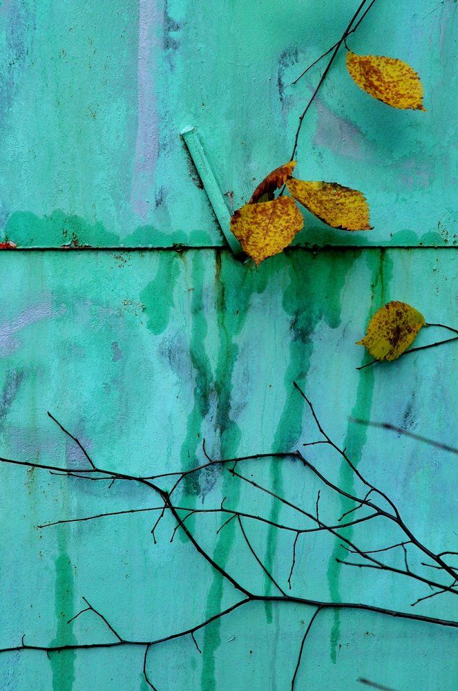 Photograph by игорь