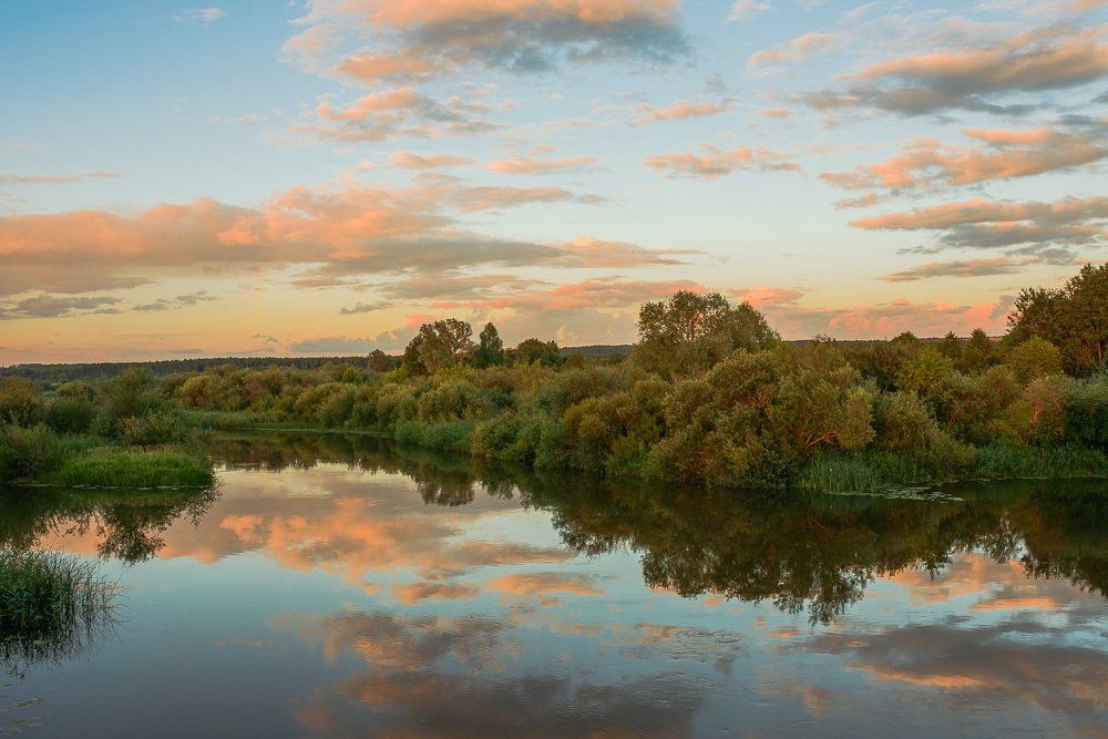 Летний вечер