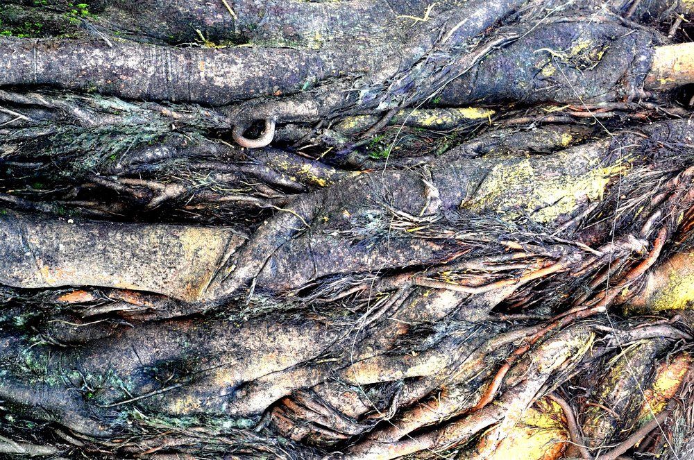 Photograph by игорь