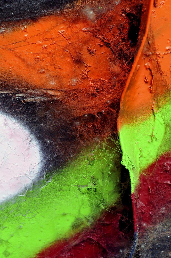 Photograph by игорь