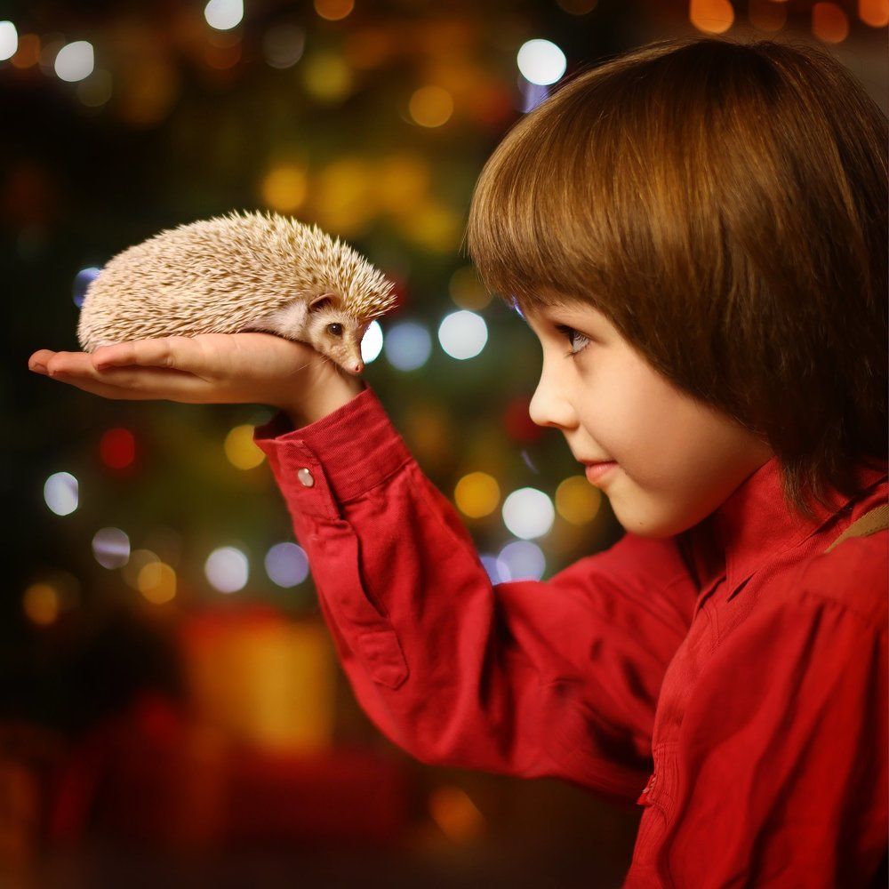 Photograph by Дудко Рина