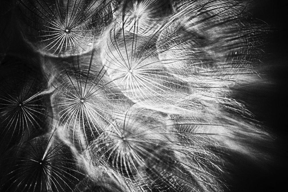 Летим вдоль звезд, вибрирует эфир ...