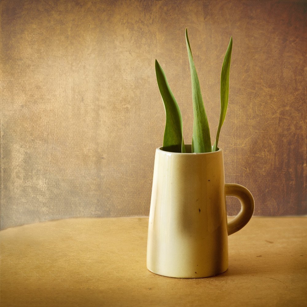 Сны о бесконечном букете из грез