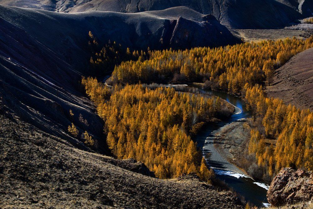Осень на речке Кокоря