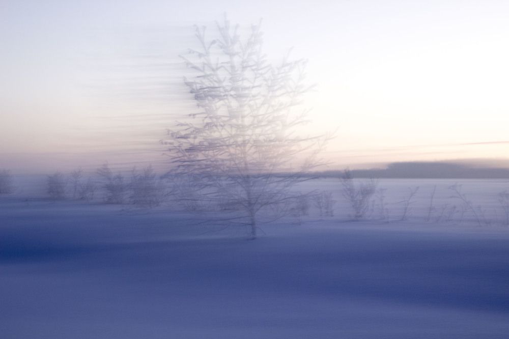 Photograph by Конюхов Константин