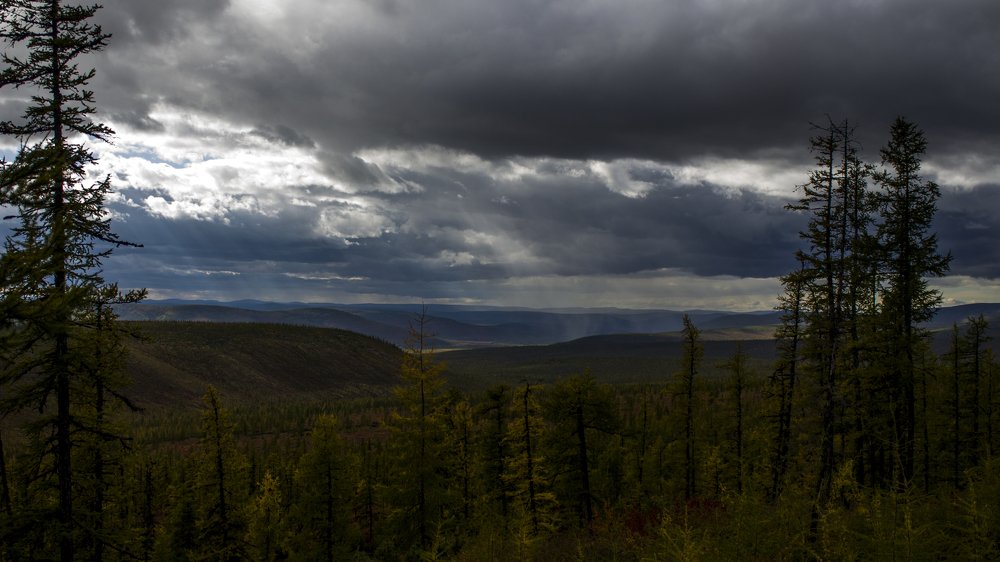 Сибирь, начало сентября