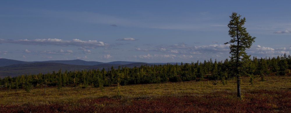 Сибирь, начало сентября