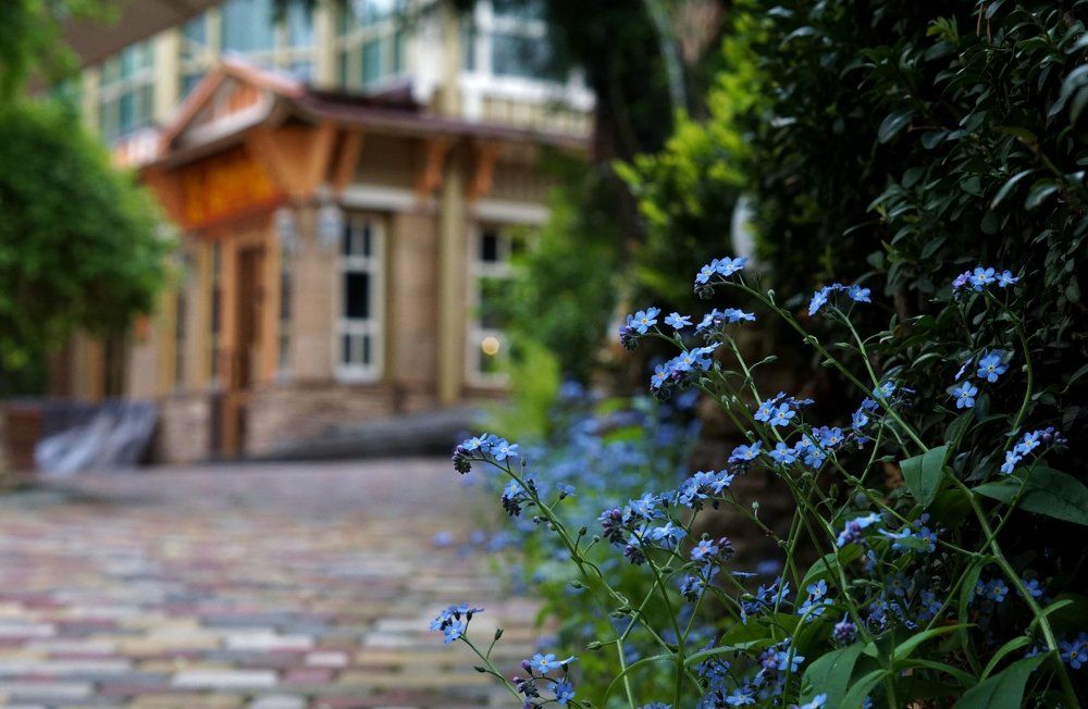 Photograph by Александр Попов