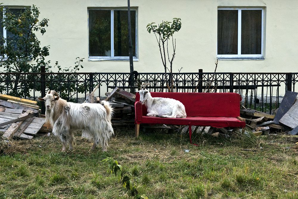 На прогулке