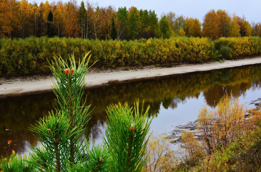 Осенние краски