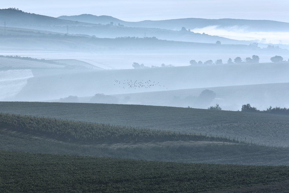 A misty fresh morning